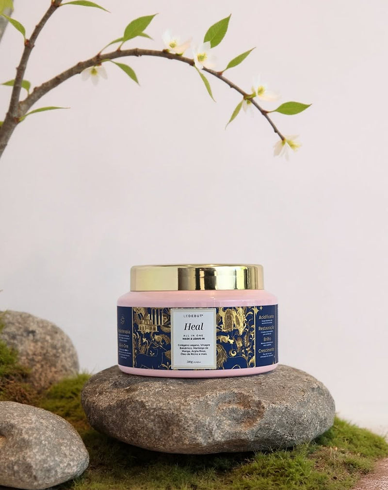 Mask Acidificante Heal All In One Ledebut 500g